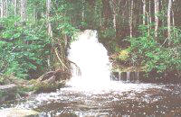 Cachoeira das Orquideas