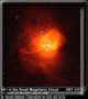 N81 in the Small Magellanic Cloud
